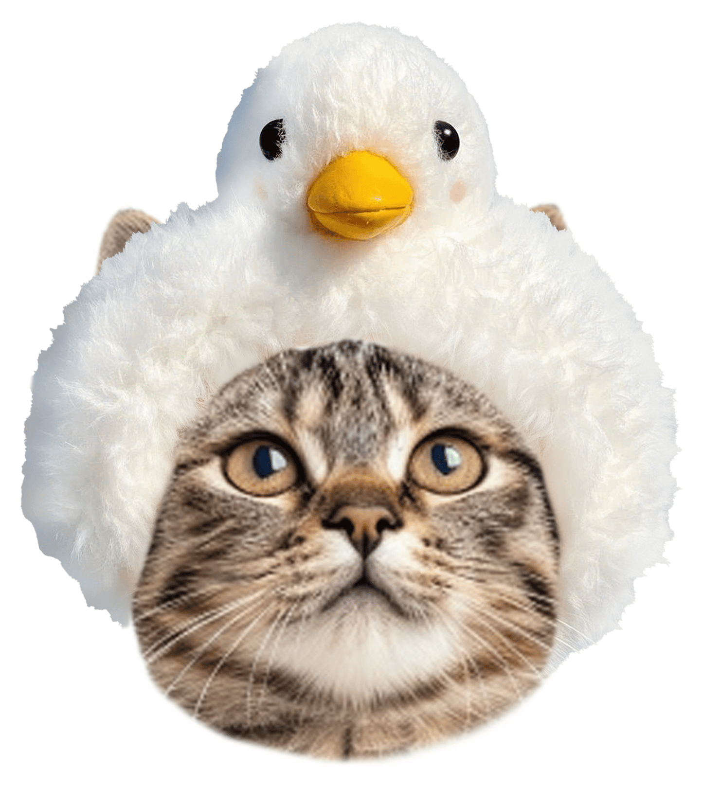 Custom Pet-Shaped Pillows