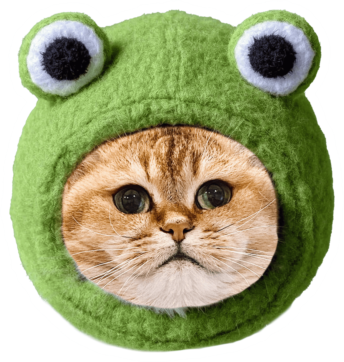 Custom Pet-Shaped Pillows