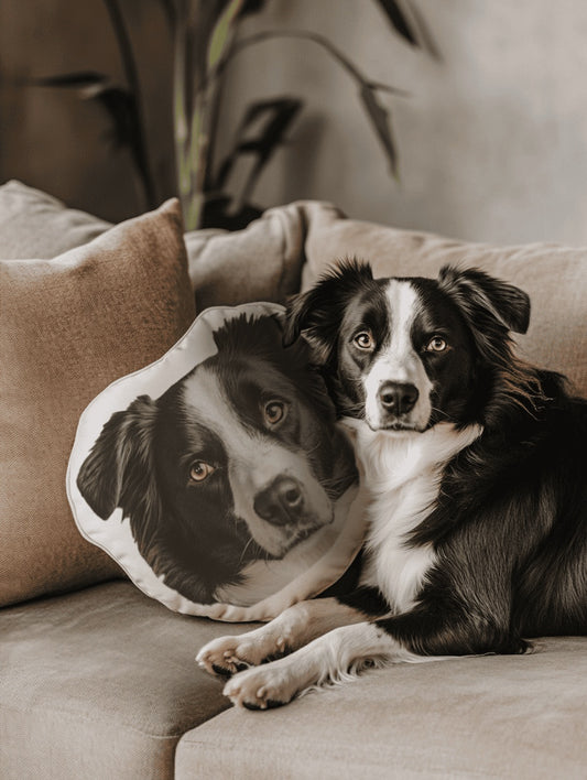 Custom Pet-Shaped Pillows