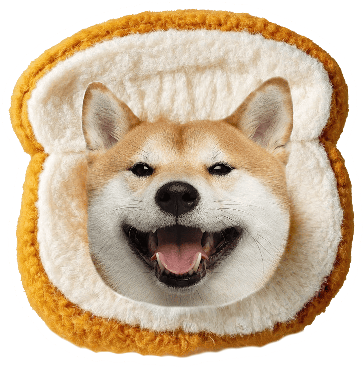 Custom Pet-Shaped Pillows