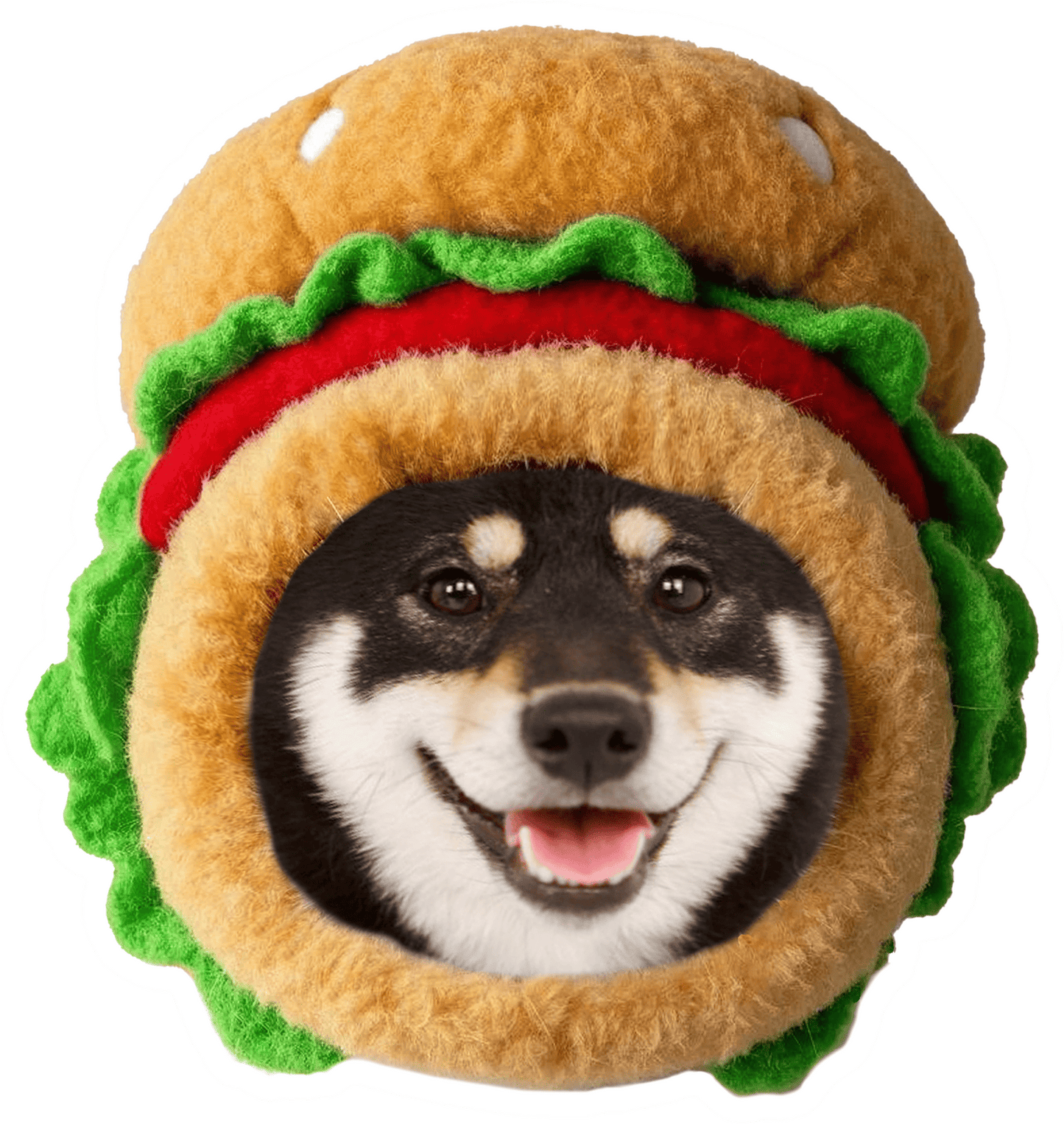 Custom Pet-Shaped Pillows