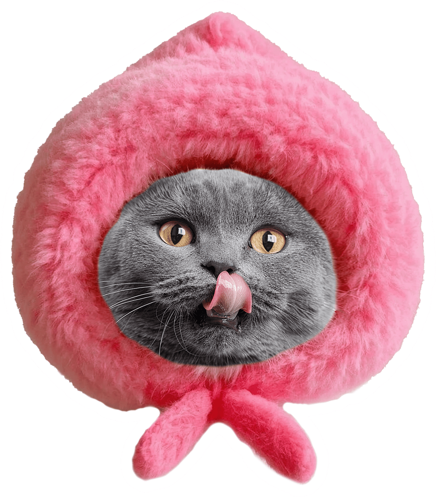 Custom Pet-Shaped Pillows